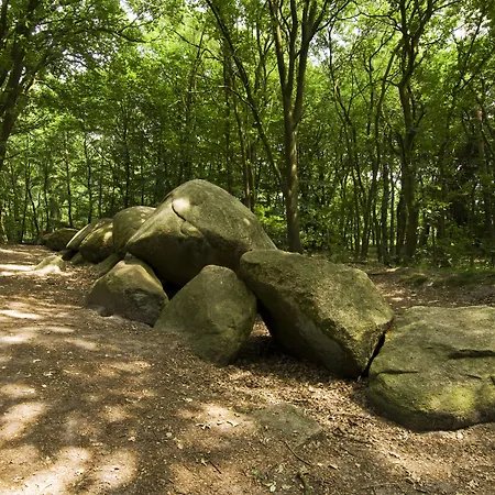 汽车旅馆 Am Buergerpark 2*